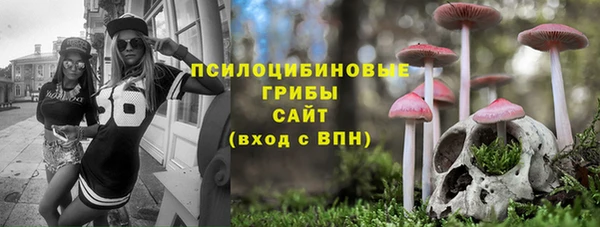 прущая мука Горно-Алтайск