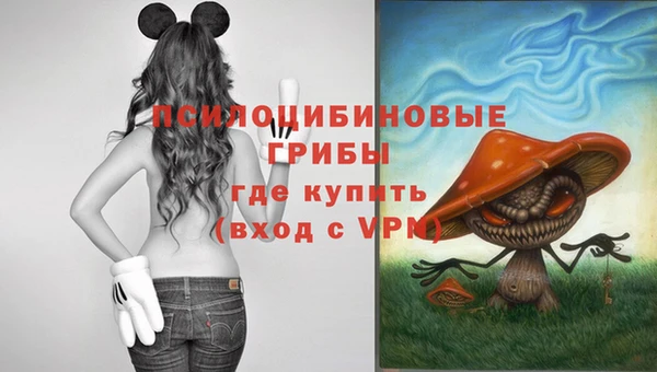 марки lsd Горняк