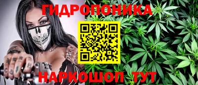 шишки Волгодонск