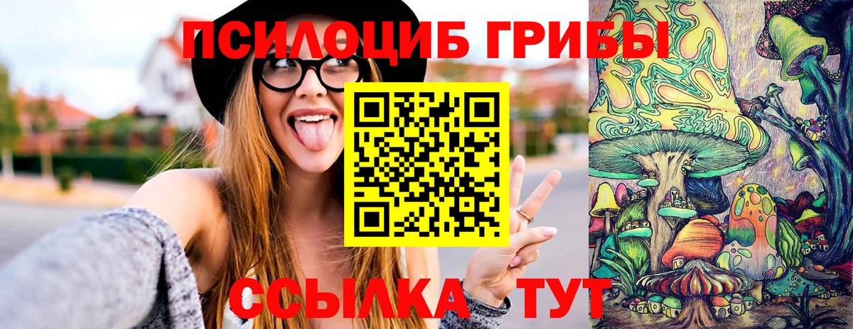 Дмитров  Псилоцибиновые грибы Cubensis  Вход с VPN 