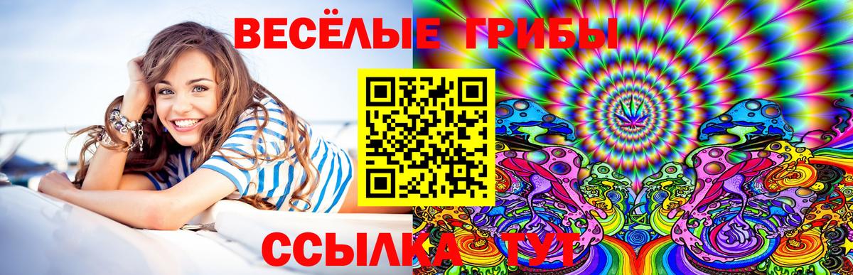 Псилоцибиновые грибы мицелий  цена   Дмитров 